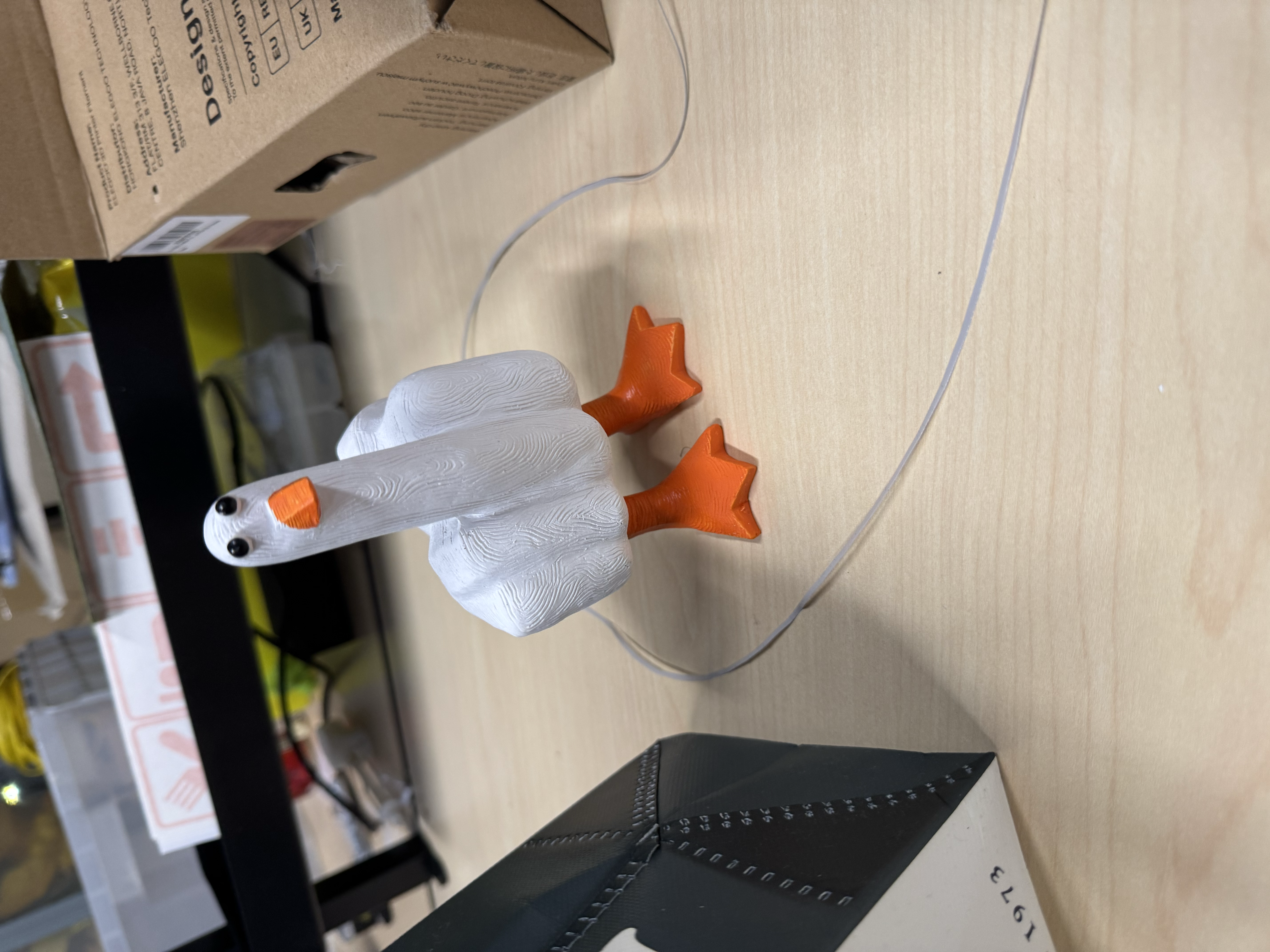 Display of the physical components of the duck