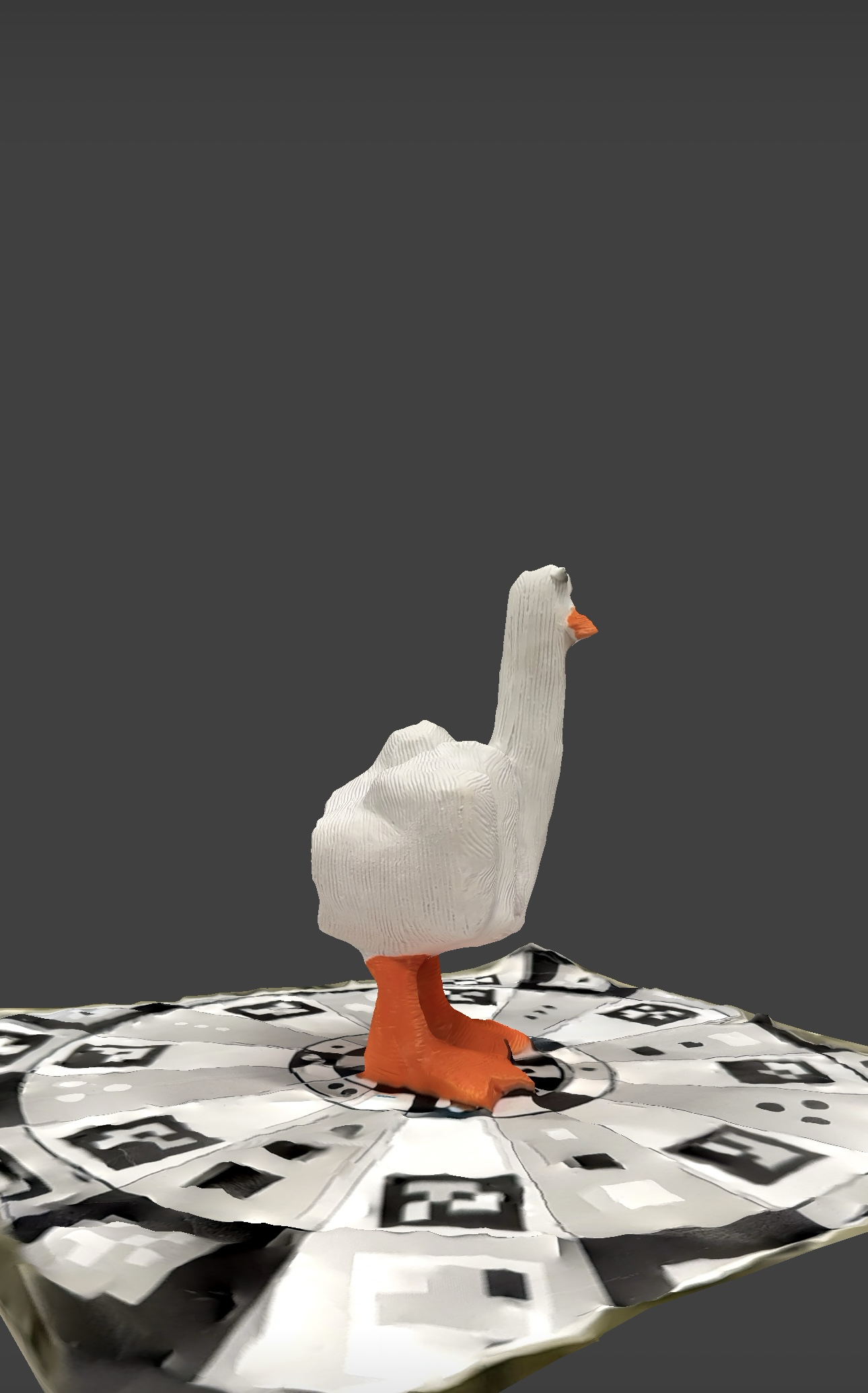 Display of the 3D scan of the duck