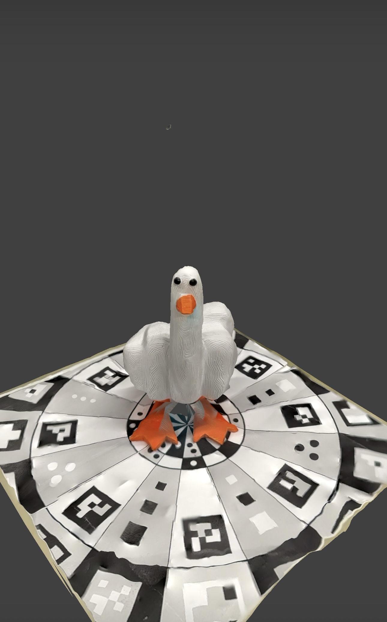 Display of the 3D scan of the duck